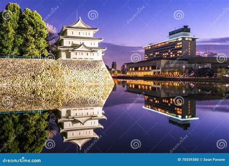 Le Château de Nagoya: Un voyage à travers le temps et une merveille architecturale !