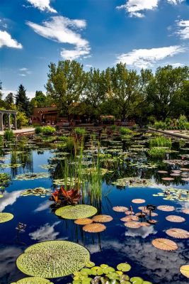 Le Jardin Japonais du Denver Botanic Gardens: Un Oasis de Tranquillité au Coeur des Rocheuses !