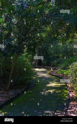  Le Jardin Botanique de Birmingham: Un Oasis verdoyant au cœur d'une ville bouillonnante!